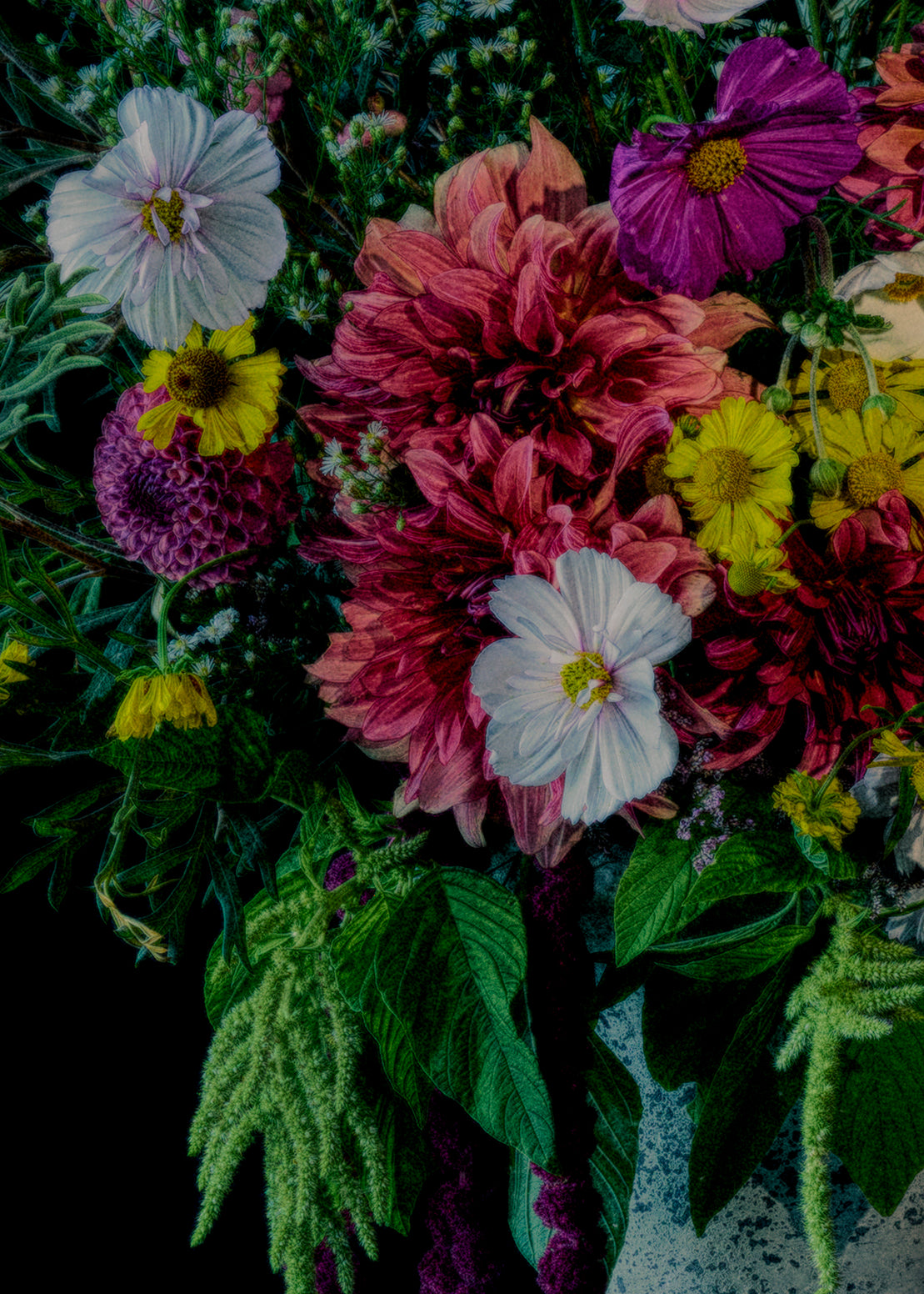 Love Lies Bleeding — Limited Edition Print
