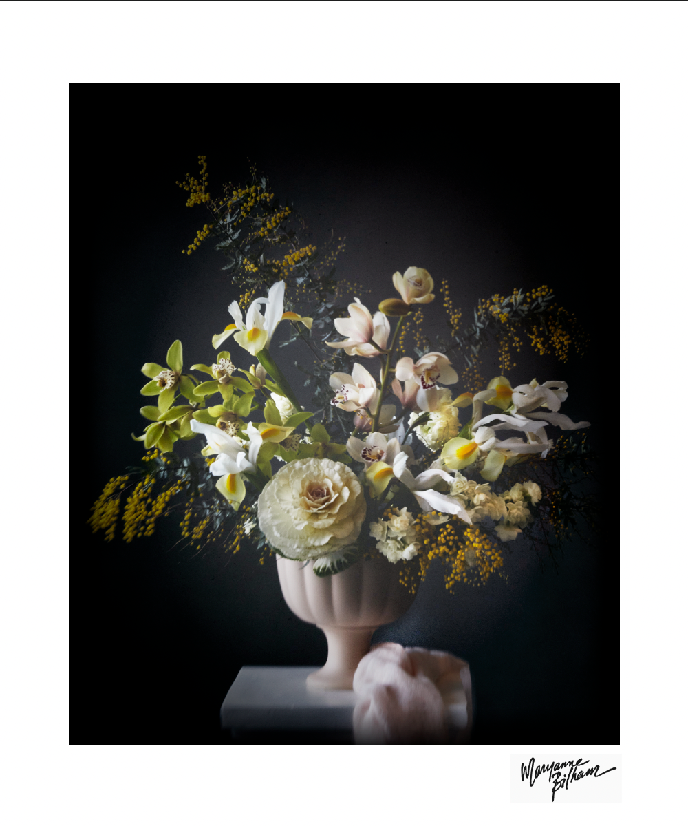 Mimosa — Limited Edition Print