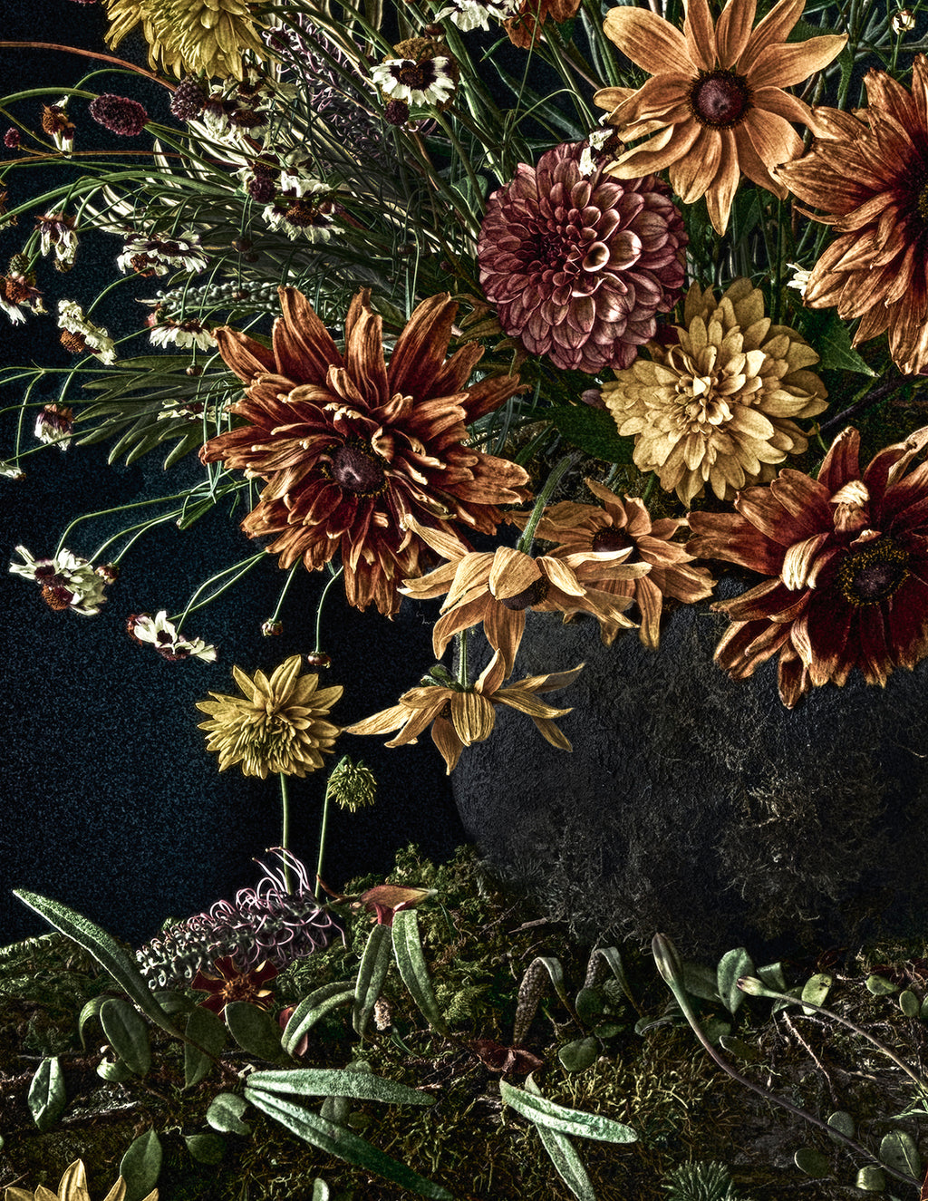 Night Garden — Limited Edition  Print