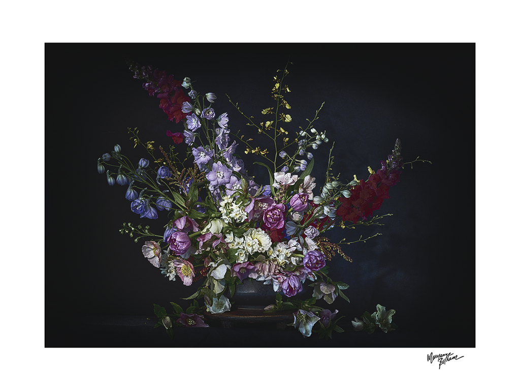 Winter's Jewels — Limited Edition Print
