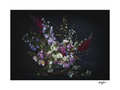 Winter's Jewels — Limited Edition Print