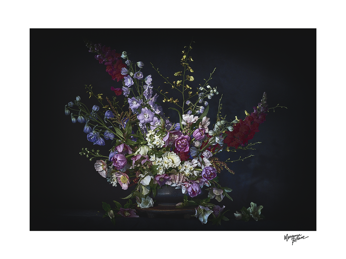 Winter's Jewels — Limited Edition Print