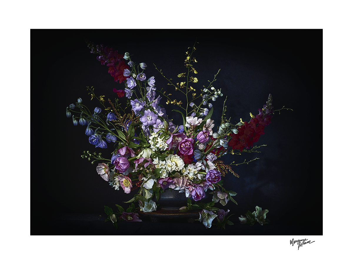 Winter's Jewels — Limited Edition Print